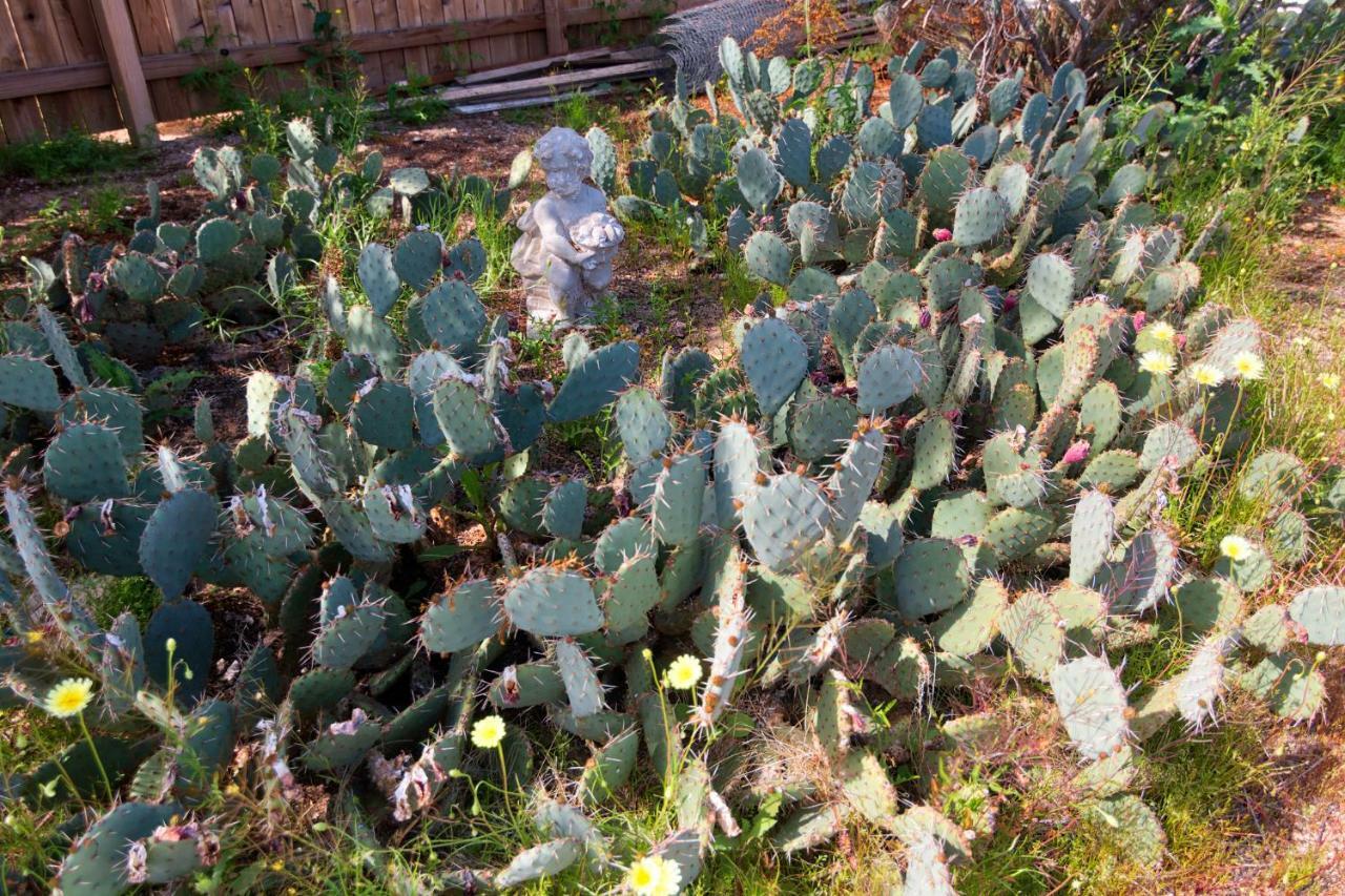 Cactus Adobe Villa Twentynine Palms Bagian luar foto